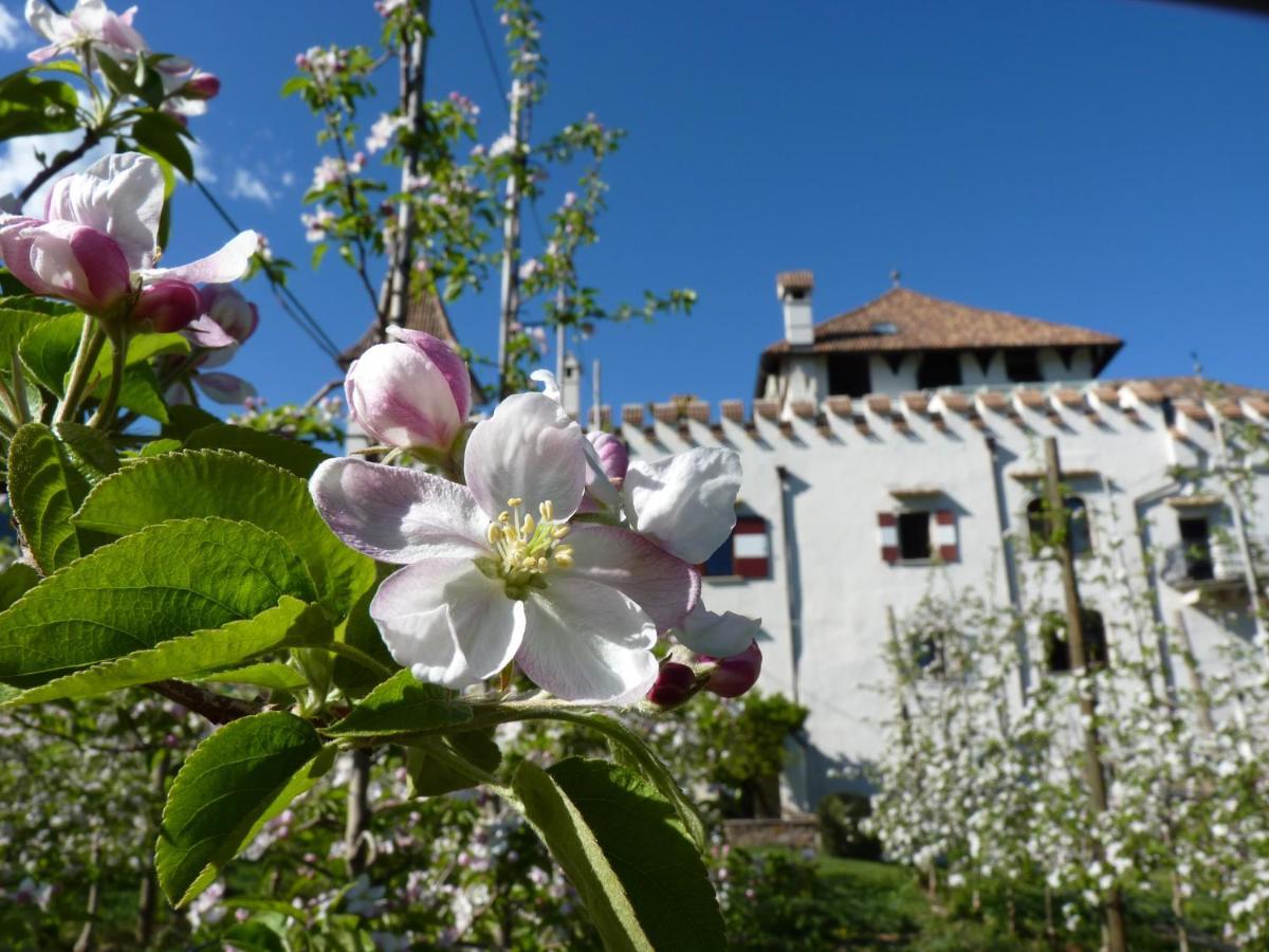 Apartments Schloss Paschbach Eppan an der Weinstraße Exteriör bild