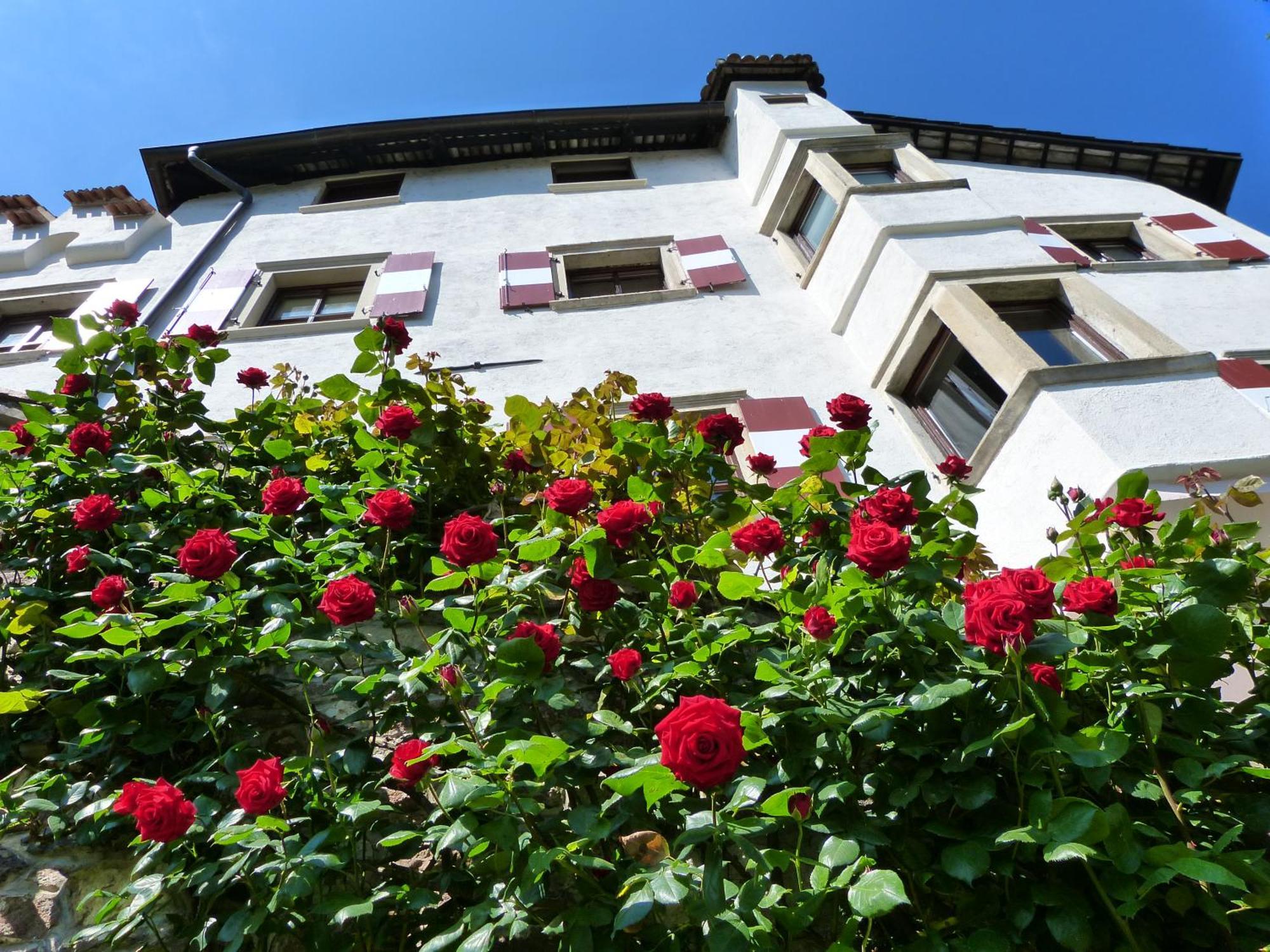 Apartments Schloss Paschbach Eppan an der Weinstraße Exteriör bild