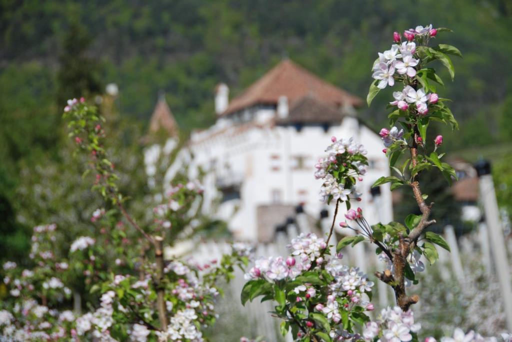 Apartments Schloss Paschbach Eppan an der Weinstraße Exteriör bild